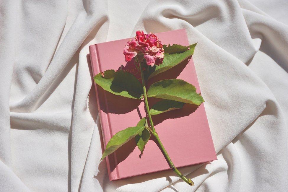 różowa-książka-i-róża-na-białej-pościeli